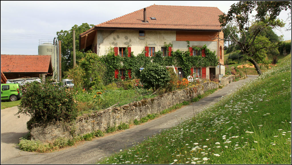 Chemin de Longive 1 - 1070 Puidoux